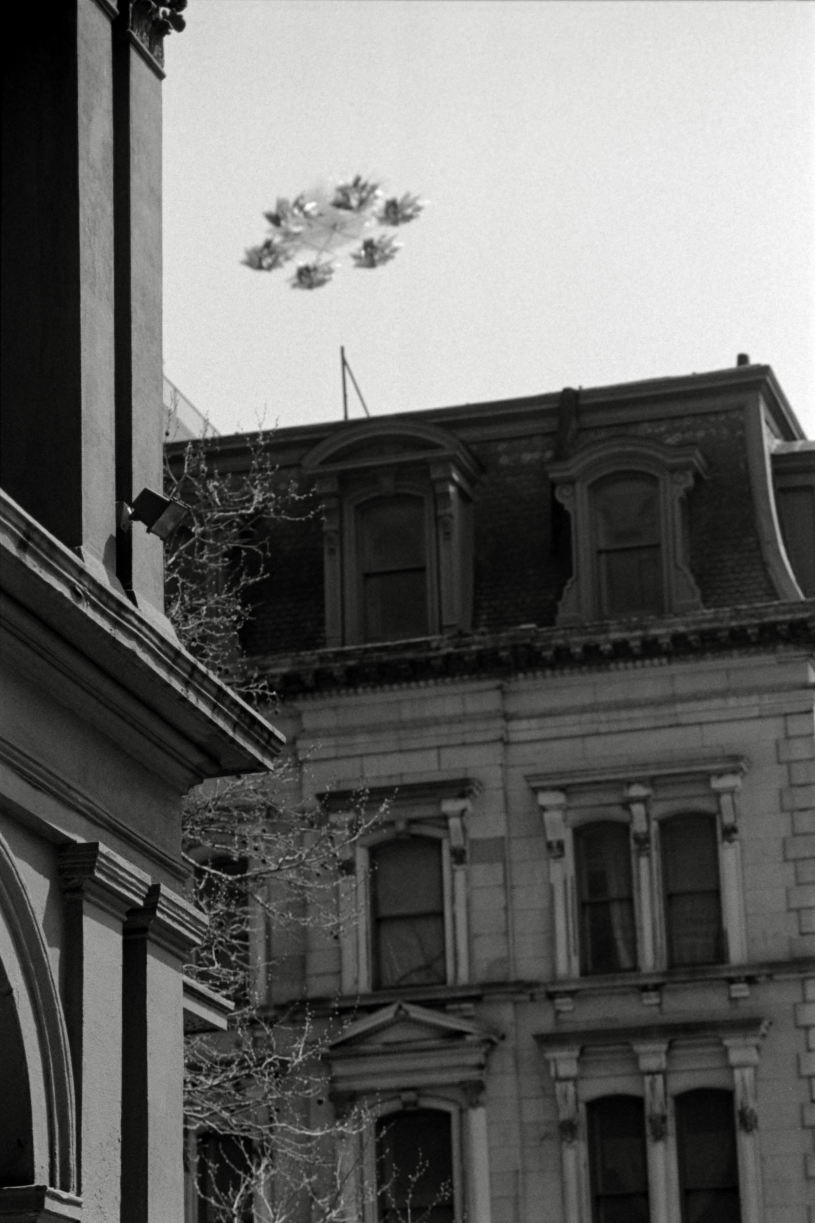 AHP F1995 04 006 sc240817 img27 NLP